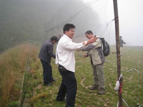 宜昌三峡大老岭自然保护区鸟类环志工作取得阶段性成果