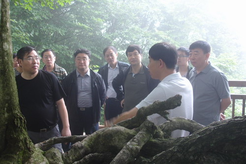 宜昌市副市长赵彦博深入大老岭视察工作