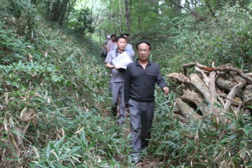 大老岭林场2011年度森林抚育项目顺利通过国家级检查验收