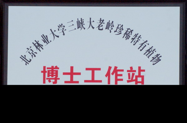 北京林业大学三峡大老岭珍稀特有植物博士工作站