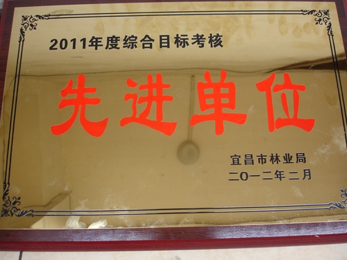 2011年综合考评目标考核先进单位