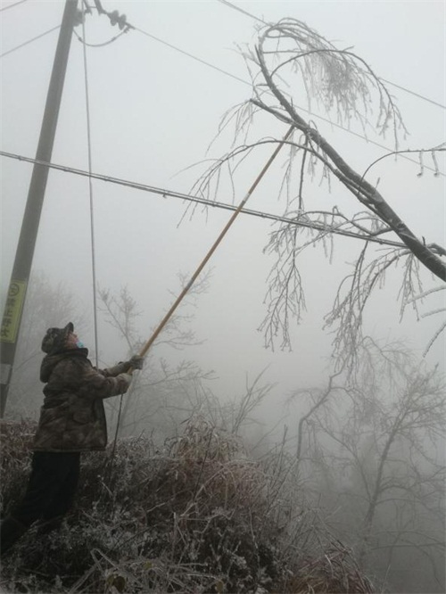 大老岭管理局：迎雪斗冰见初心