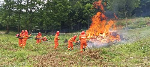宜昌首支自然保护地森林消防队在大老岭保护区挂牌成立