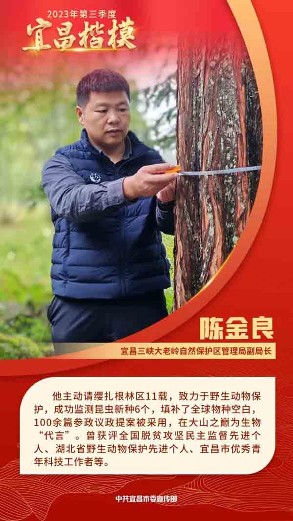实至名归！大老岭陈金良荣获“宜昌楷模”称号