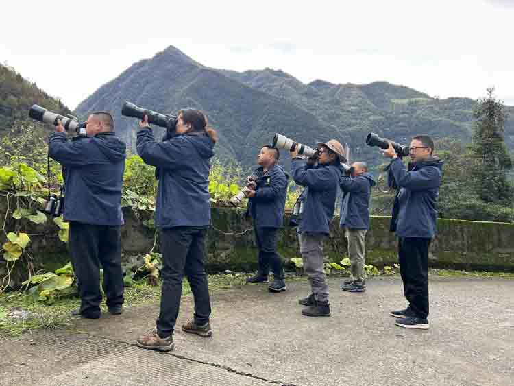 观鸟识鸟 大老岭保护区再创新佳绩