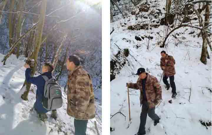 踏雪巡林除隐患 节前监测保安全