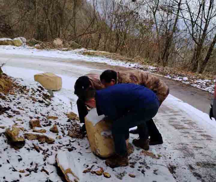 踏雪巡林除隐患 节前监测保安全
