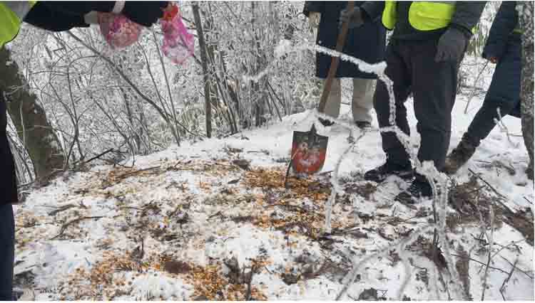 顶风冒雪救助忙 守护山林动物精灵