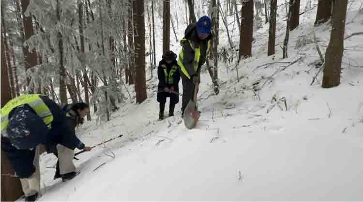 顶风冒雪救助忙 守护山林动物精灵