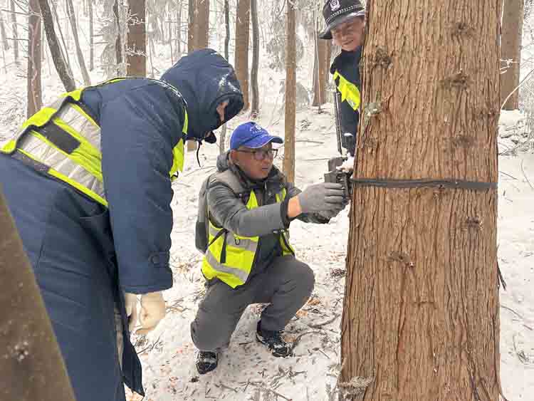 顶风冒雪救助忙 守护山林动物精灵