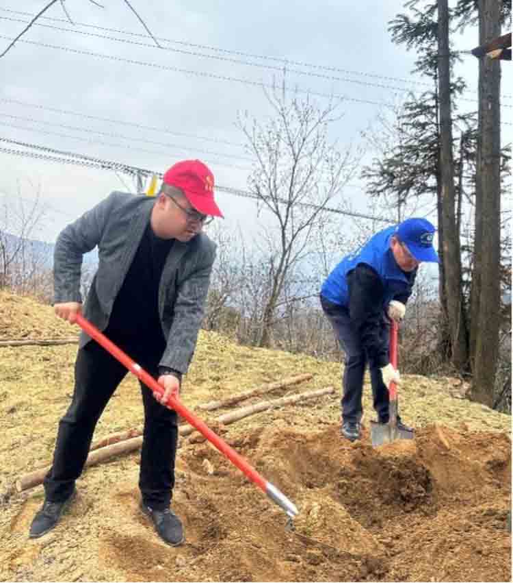 湖北大老岭国家级自然保护区：义务植树添新绿 共同缔造增春色