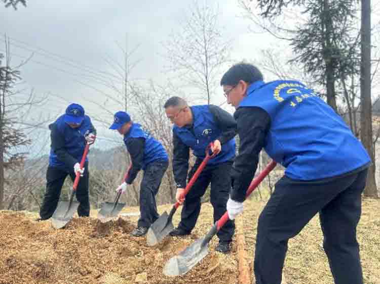 湖北大老岭国家级自然保护区：义务植树添新绿 共同缔造增春色