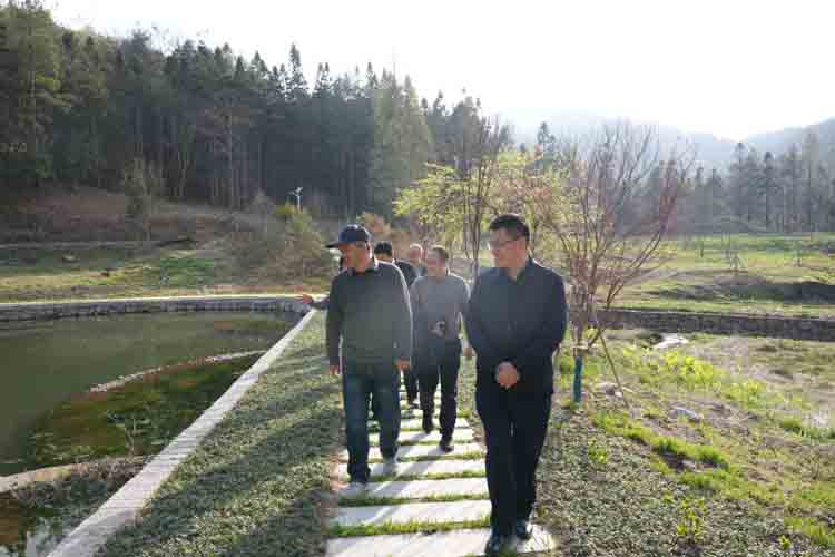 国家林业和草原局调研大老岭“两山”理论转化情况