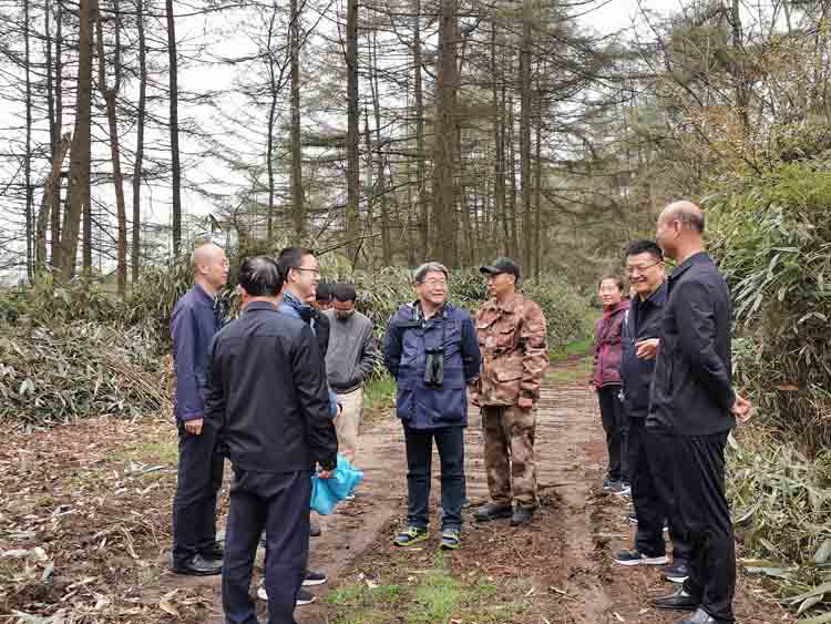 全国鸟类环志中心到大老岭调研