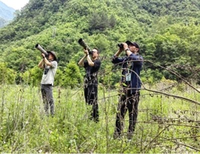 喜讯！大老岭保护区观鸟队再获新荣誉
