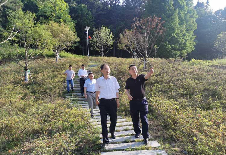 省林业局调研大老岭保护与发展情况