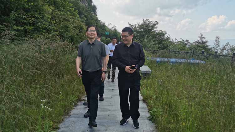 学习交流同发展  互学互鉴共提升