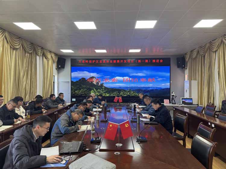 林业碳票开发：探索大老岭生态价值转化的绿色新路径