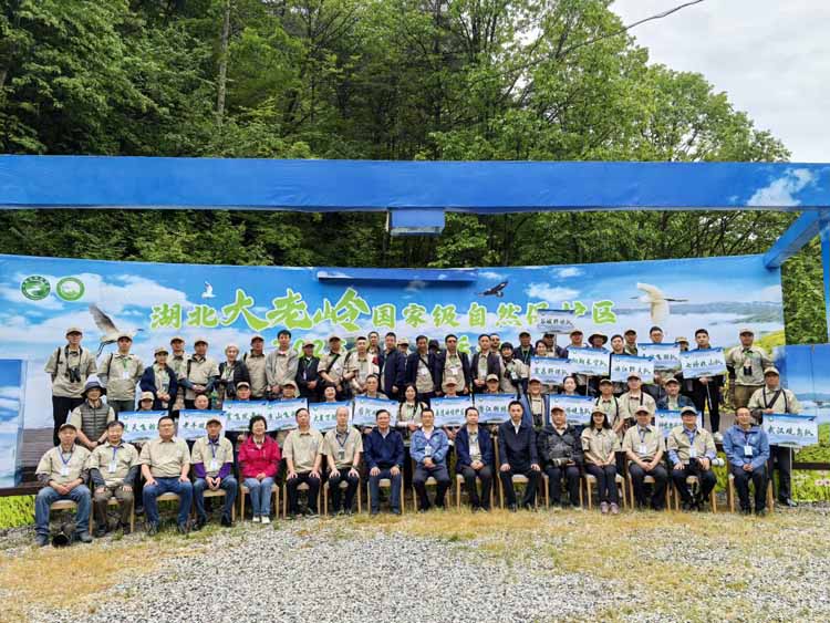 湖北大老岭2025年观鸟盛会启幕：以羽为媒共筑生态画卷
