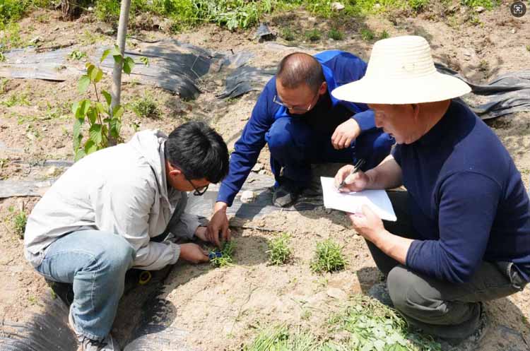科技护生态 绿色守三峡